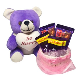 Sorry Gift for Girlfriend or Boyfriend - Sorry Teddy & 5 Chocolate