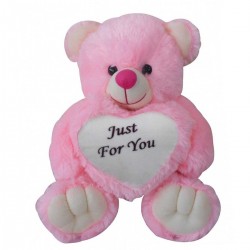 Just For You Teddy Bear (Pink)