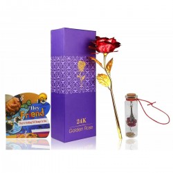 Gift for Friend - Artificial Red Golden Rose, Pocket Size Friend Greeting Card & Message Bottle