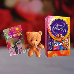 Best Wishes Gift - Chocolate Pack with Best Wishes Greeting Card and Teddy Bear