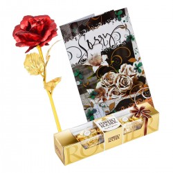 Sorry Card, Artificial Red Rose and Chocolate