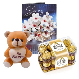 Chocolate with Sorry Greeting Card & Soft Teddy Bear