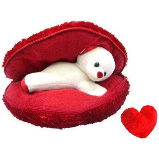 Teddy Cushion With Small Red Heart