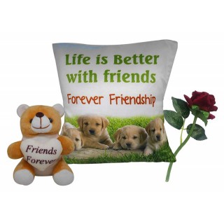 Gift for Friend - Printed Cushion with Filler, Soft Toy & Artificial Flower