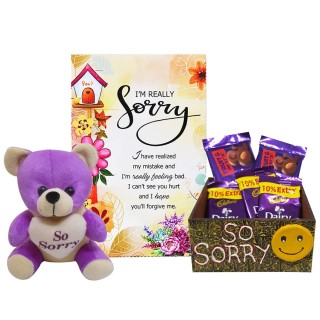 Sorry Gift for Girlfriend or Boyfriend - Sorry Greeting Card with Sorry Teddy & Handmade Box with 5 Chocolates