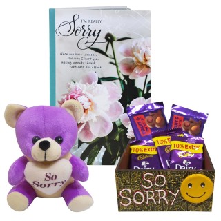 Sorry Gift for Girlfriend or Boyfriend - Sorry Greeting Card with Sorry Teddy & Handmade Box with 5 Chocolates