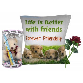Gift for Friend - Printed Cushion with Filler, Gift Box with Teddy, Card & Artificial Flower