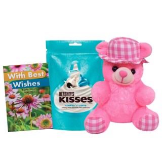 Best Wishes Greeting Card with Chocolate & Teddy Bear - Gifts for Girls - Friends - Kids - Surprise Gift