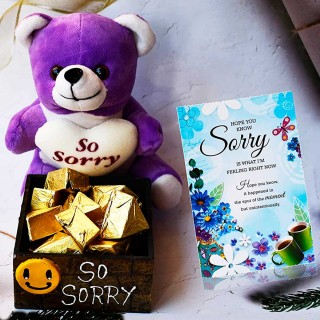 Sorry Gift for Girlfriend, Boyfriend - Sorry Greeting Card, Sorry Teddy and 12 Chocolate Pieces with Wooden Box